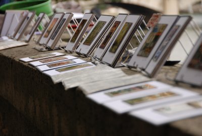 DSC_4359.JPG