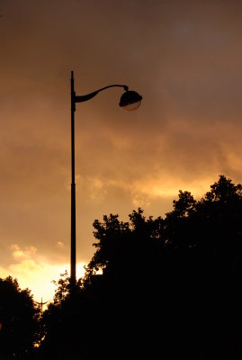 DSC_4639.JPG