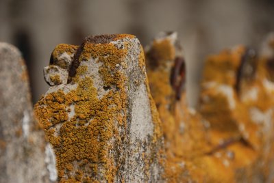 DSC_6274.JPG