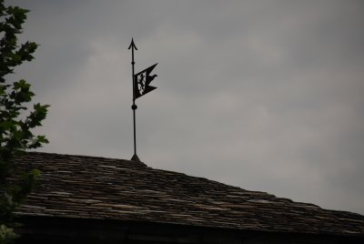 DSC_6354.JPG