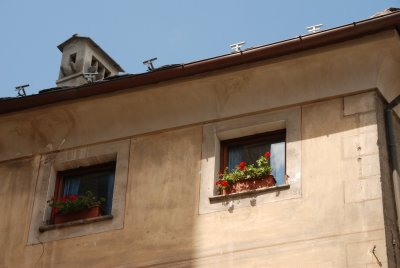DSC_6373.JPG