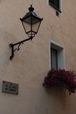 DSC_6389.JPG