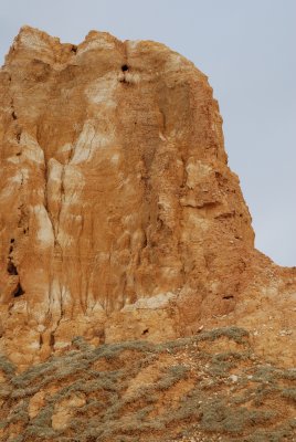 DSC_7777.JPG