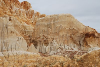 DSC_7779.JPG