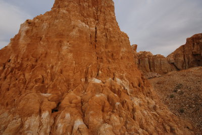 DSC_7784.JPG