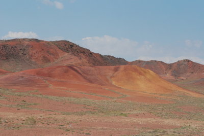 DSC_7964.JPG