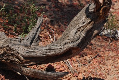 DSC_8016.JPG