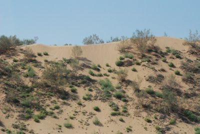 DSC_8142.JPG
