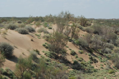 DSC_8152.JPG