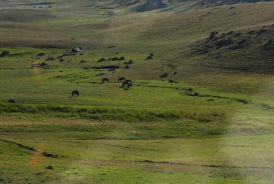 DSC_6881.JPG