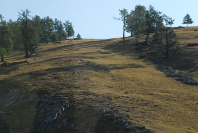 DSC_6939.JPG