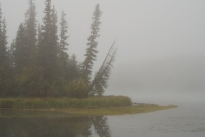 g6/69/742069/3/85562029.qTYYVWZc.jpg