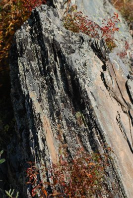 DSC_7413.JPG