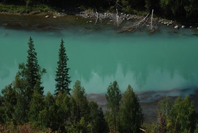 DSC_7499.JPG