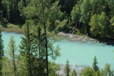 DSC_7524.JPG