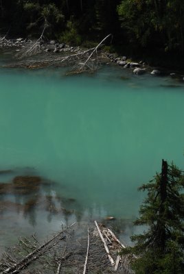 DSC_7529.JPG