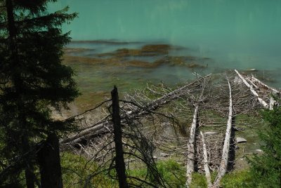 DSC_7534.JPG