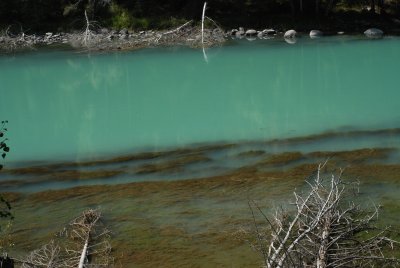 DSC_7537.JPG
