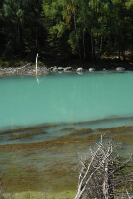 DSC_7538.JPG