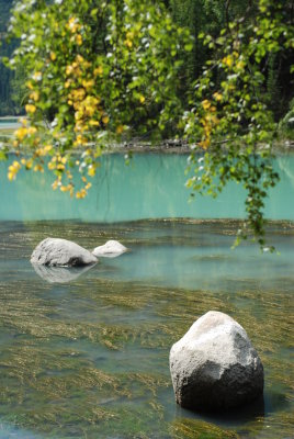 DSC_7549.JPG