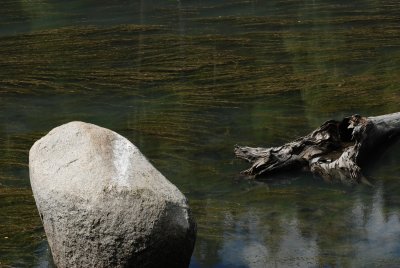 DSC_7558.JPG
