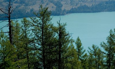 DSC_7420_1.jpg