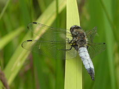 g6/69/756269/3/78457012.0aw3mbR9.jpg