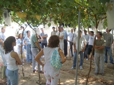 Tcnicos 2004 Cieza