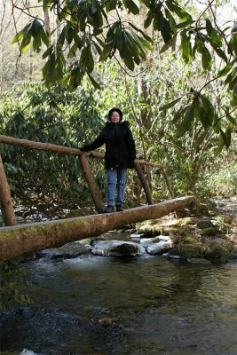 IMG_8847-copy.jpg