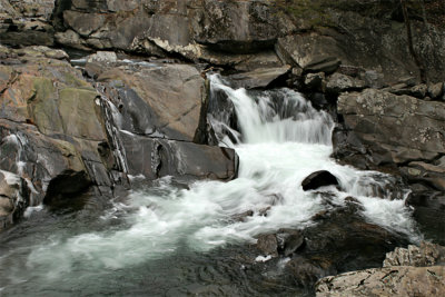 IMG_9169-copy.jpg