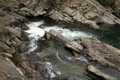 IMG_9172-copy.jpg