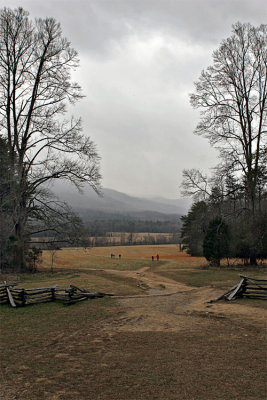 IMG_9190-copy.jpg