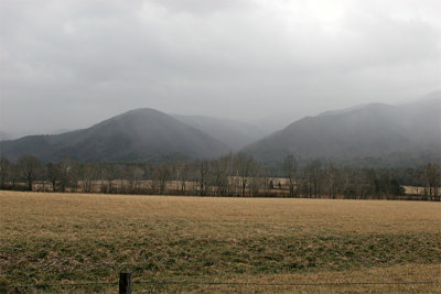 IMG_9194-copy.jpg