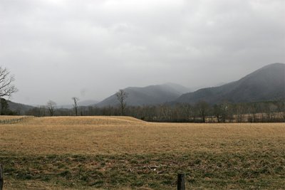 IMG_9195-copy.jpg