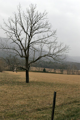 IMG_9196-copy.jpg