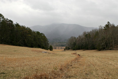 IMG_9197-copy.jpg