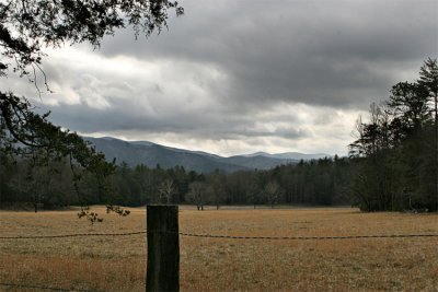 IMG_9217-copy.jpg