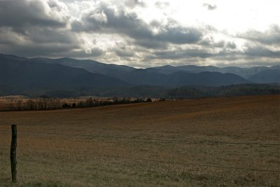 IMG_9232-copy.jpg