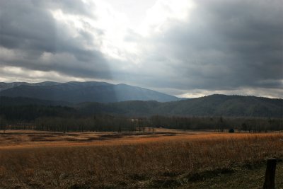 IMG_9252-copy.jpg
