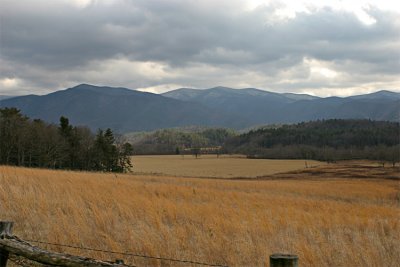 IMG_9256-copy.jpg