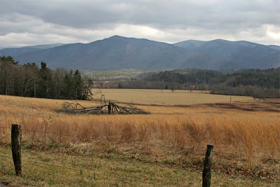 IMG_9264-copy.jpg