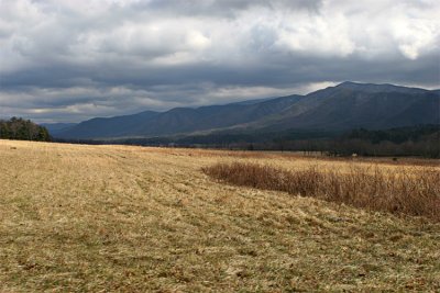 IMG_9265-copy.jpg