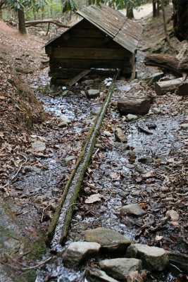 IMG_9292-copy.jpg