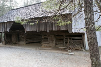 IMG_9356-copy.jpg