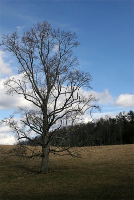IMG_9378-copy.jpg