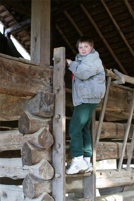 IMG_9383-copy.jpg
