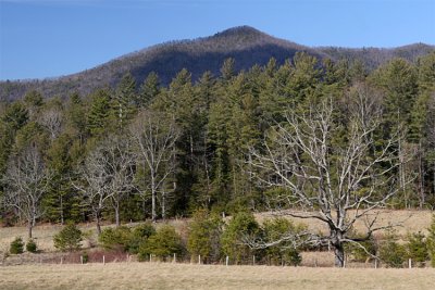 IMG_9390-copy.jpg