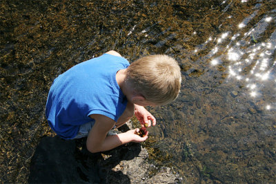 IMG_7187-copy.jpg