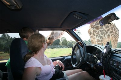 IMG_6434-copy.jpg