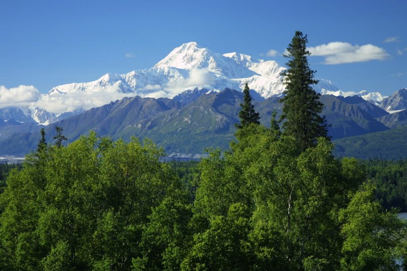 Denali Unveiled